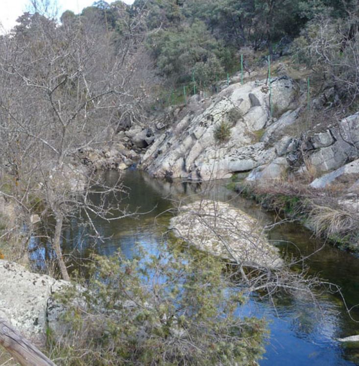 WhatsApp_Image_2025-10-04_at_21.39.11_1