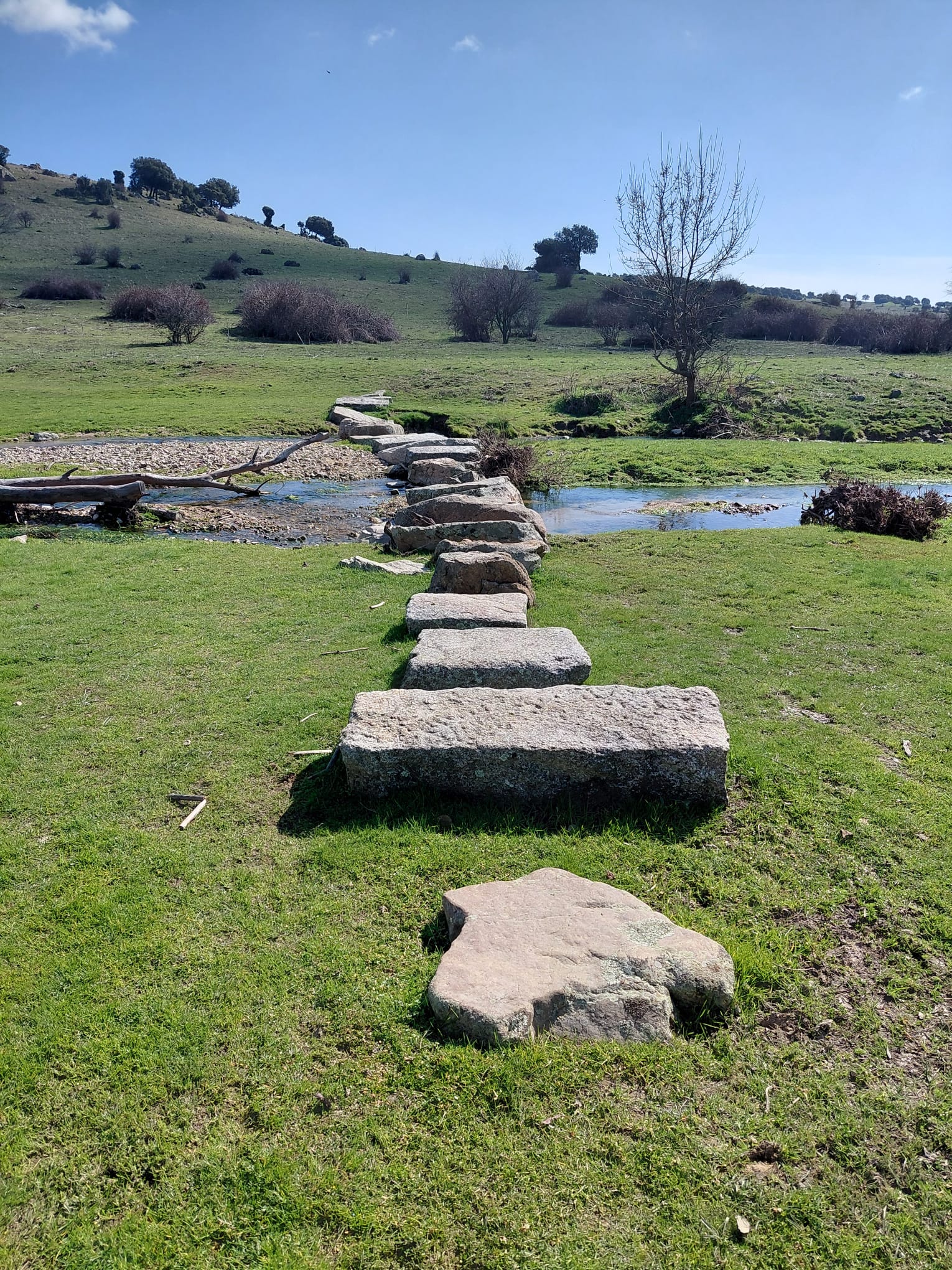 WhatsApp_Image_2026-02-28_at_22.00.24