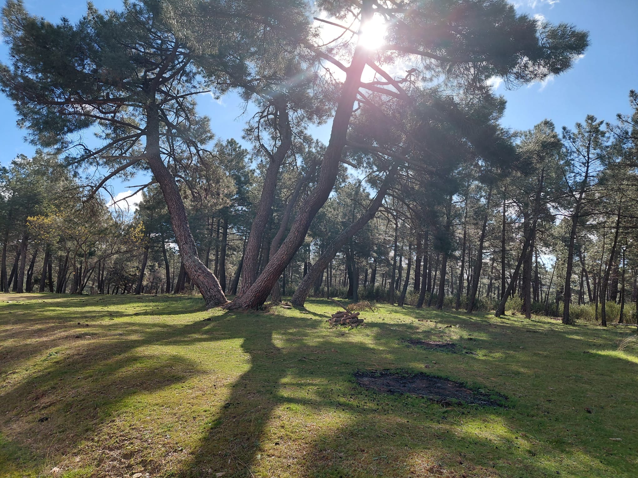 WhatsApp_Image_2026-04-19_at_20.22.38