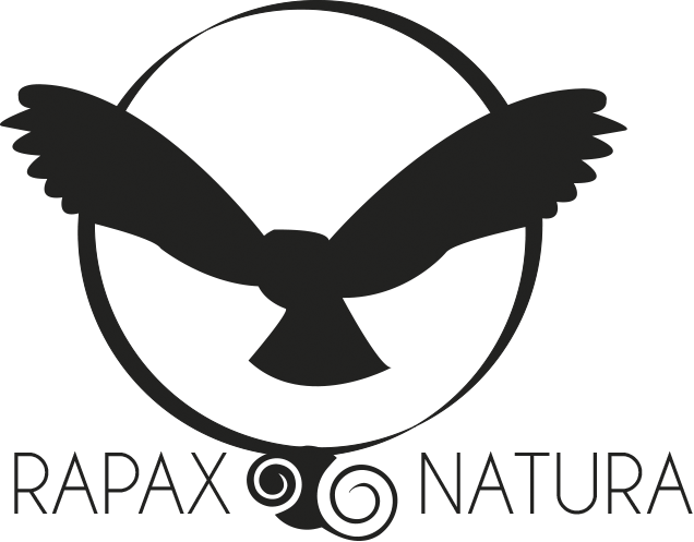 Rapax_logo-png
